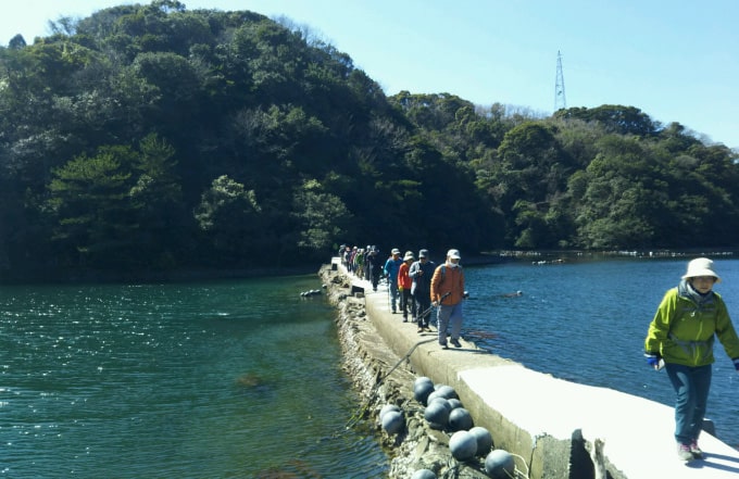 九州オルレ「さいき・大入島コース」